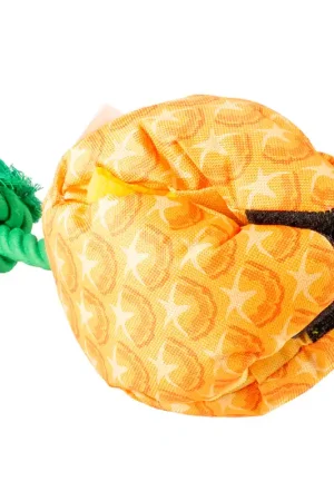Snackspeeltje ananas Weekendaanbieding